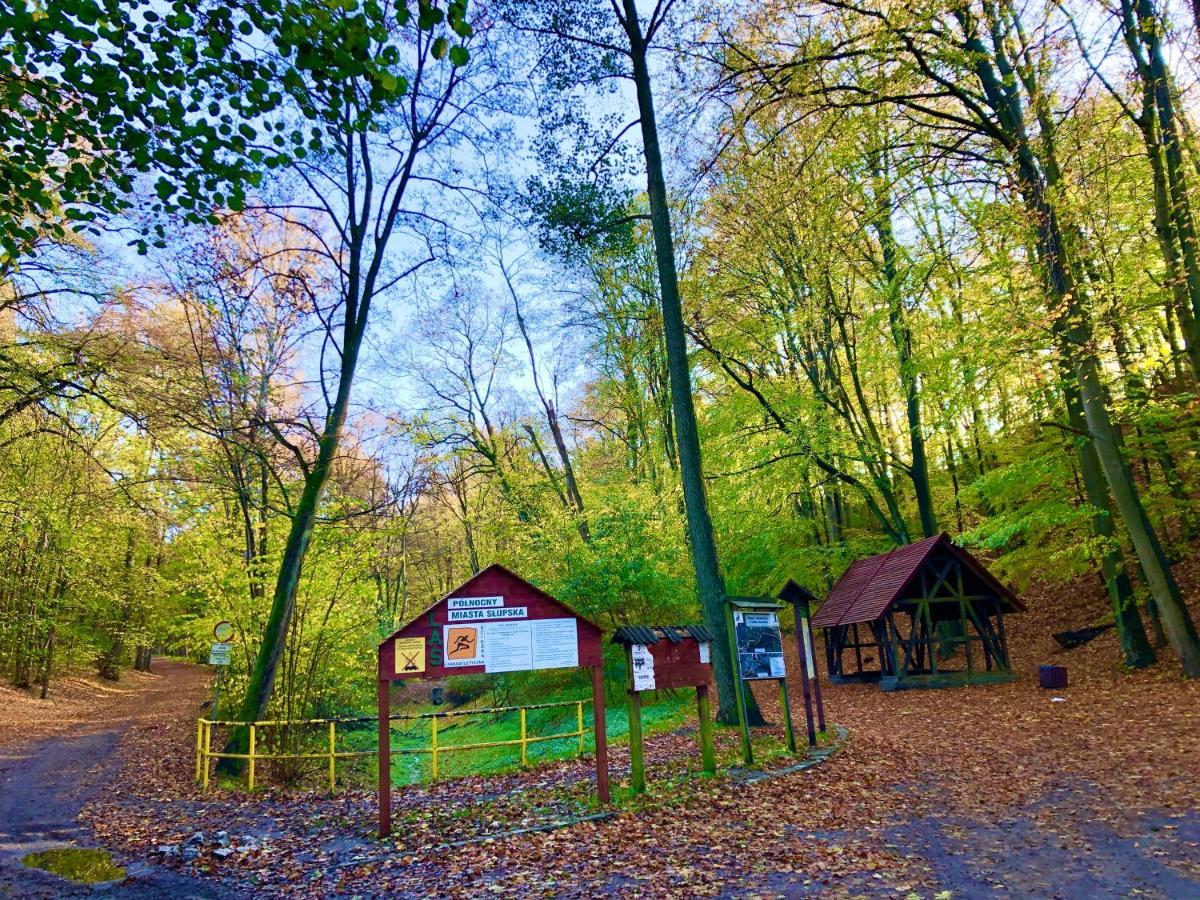 Las Slupski Premium Apartament Nr6 Wifi Netflix Smart Tv50 Two Bedrooms Two Extra Large Double Beds Up To 6 People Full Pleasure Quality Stay (Adults Only) Esterno foto